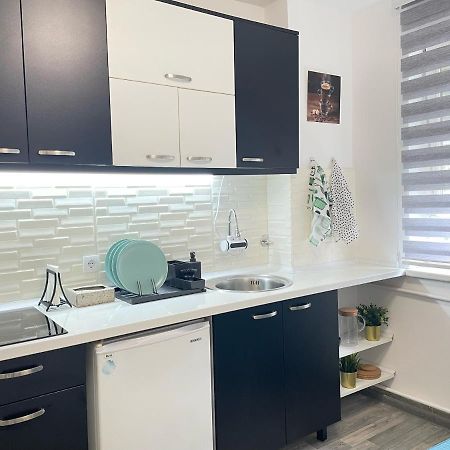 The Blue Velvet Apartment Belgrado Esterno foto